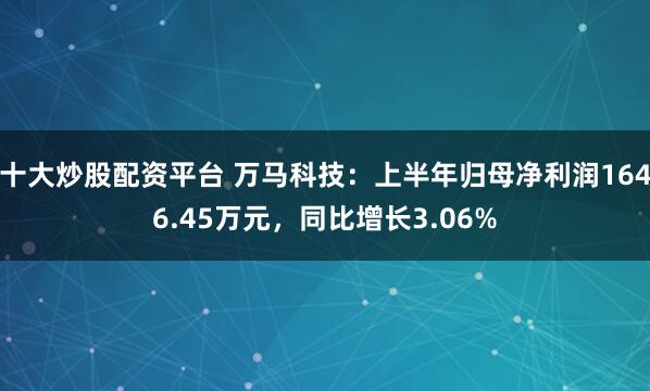 十大炒股配资平台 万马科技：上半年归母净利润1646.45万元，同比增长3.06%