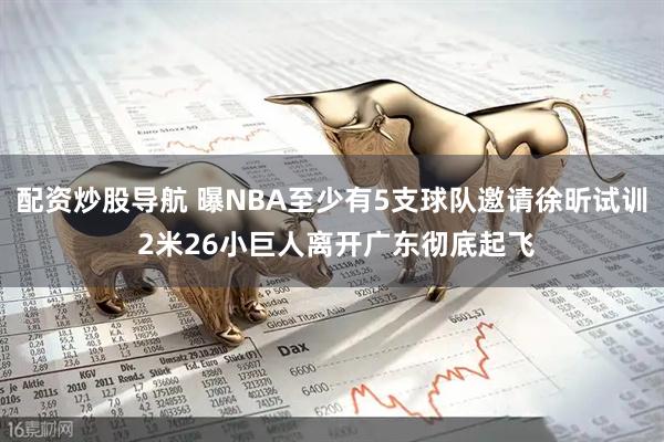 配资炒股导航 曝NBA至少有5支球队邀请徐昕试训 2米26小巨人离开广东彻底起飞