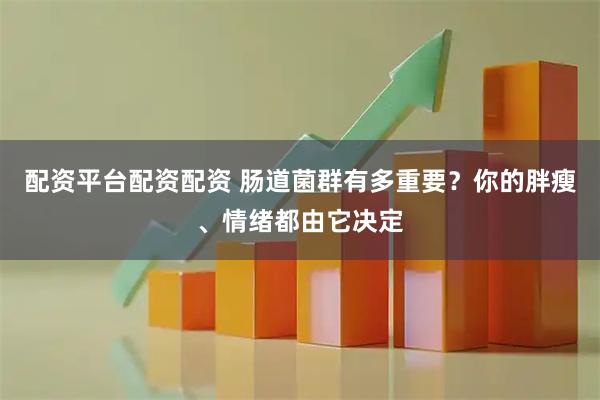 配资平台配资配资 肠道菌群有多重要？你的胖瘦、情绪都由它决定